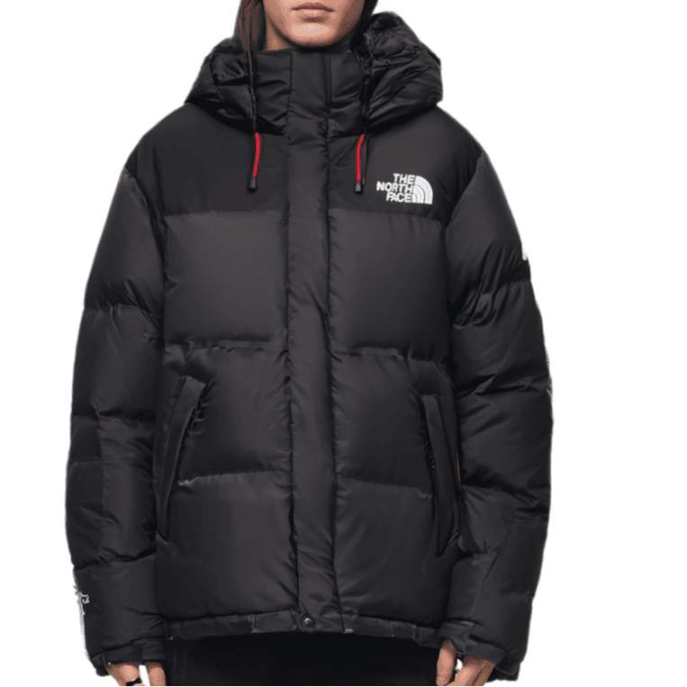 Зимняя куртка The North Face Windstopper GTX - изображение 5