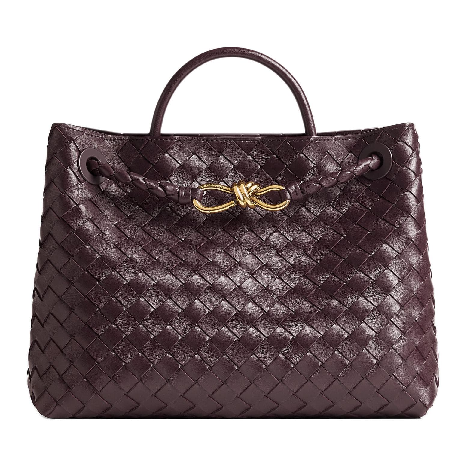 Сумка Bottega Veneta Andiamo - изображение 1
