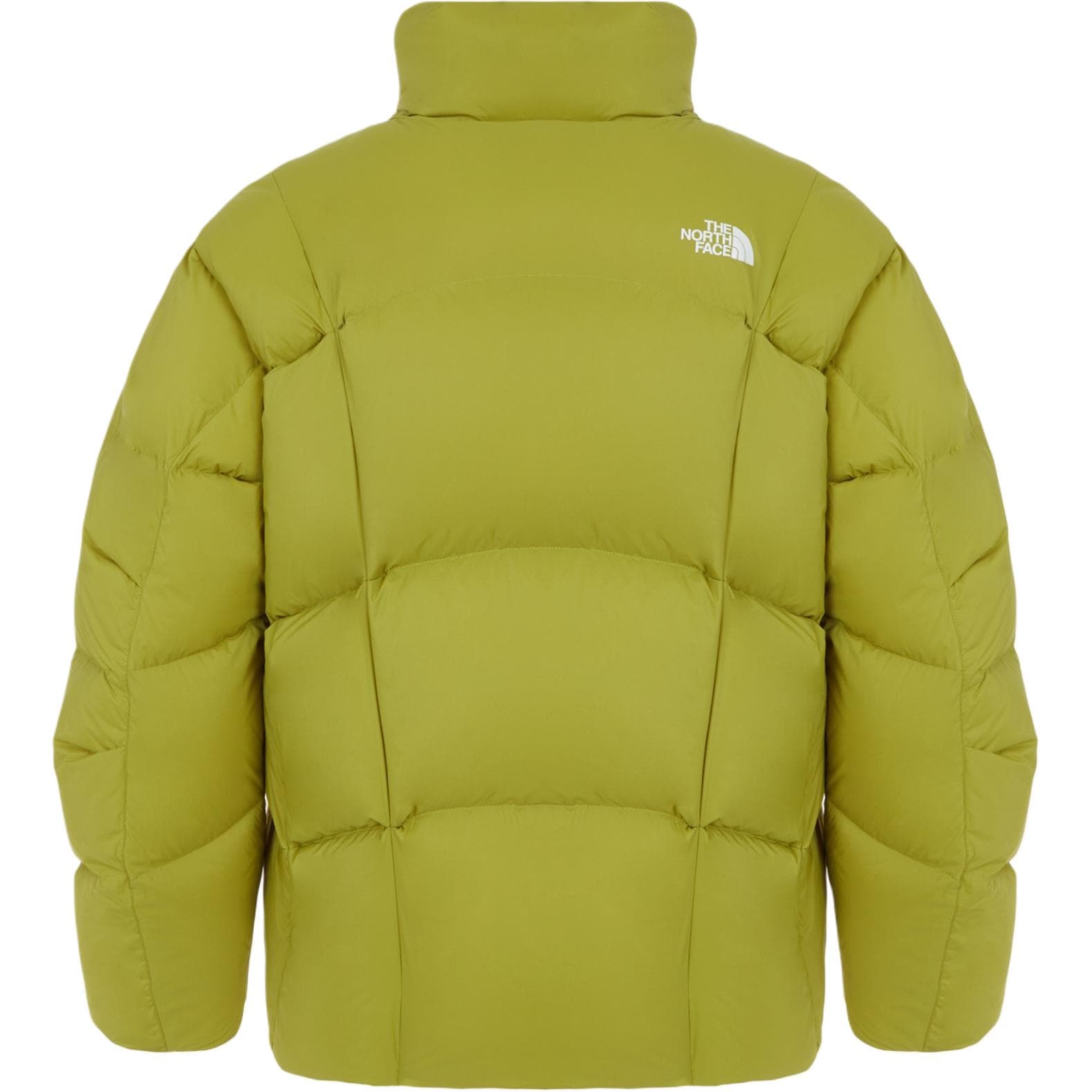 Зимняя куртка THE NORTH FACE OLAN Logo - изображение 3