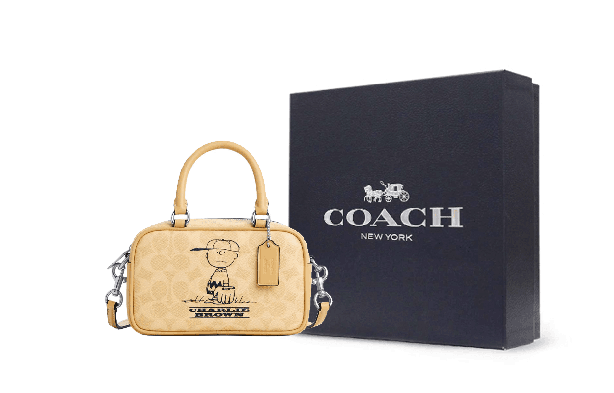 Сумка COACH x PEANUTS Charlie 19 - изображение 7