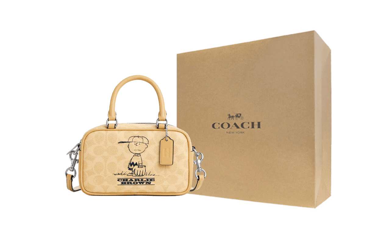 Сумка COACH x PEANUTS Charlie 19 - изображение 8