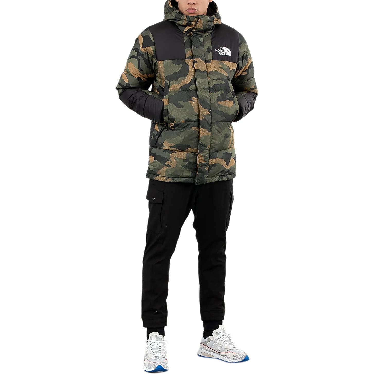 Зимняя куртка THE NORTH FACE Logo - изображение 3