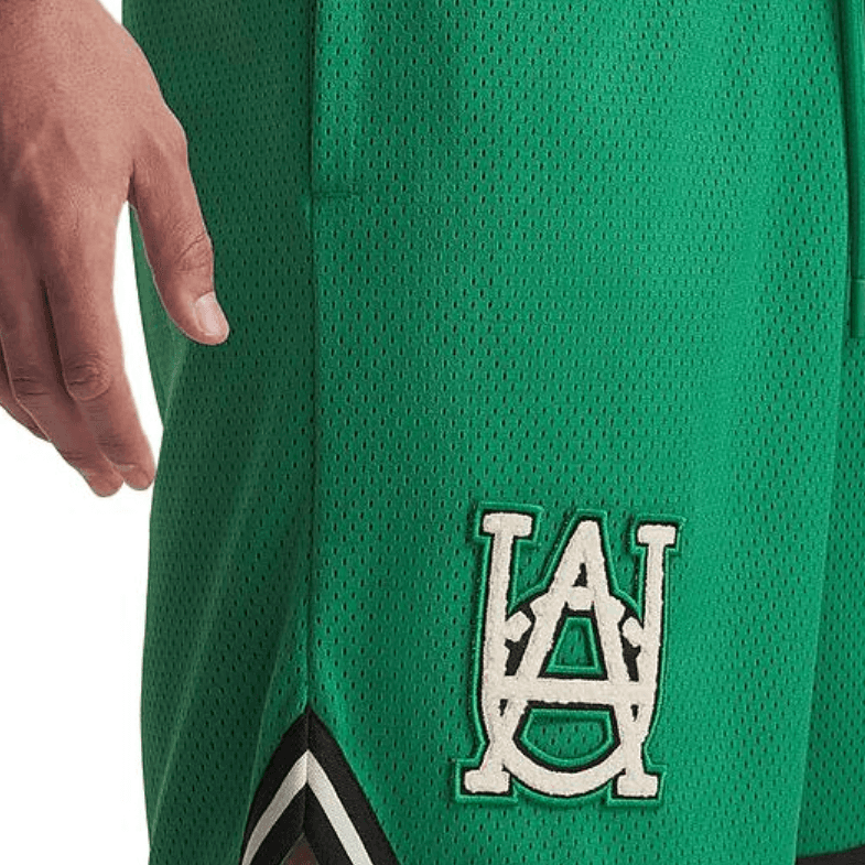 Баскетбольные шорты Under Armour - изображение 4