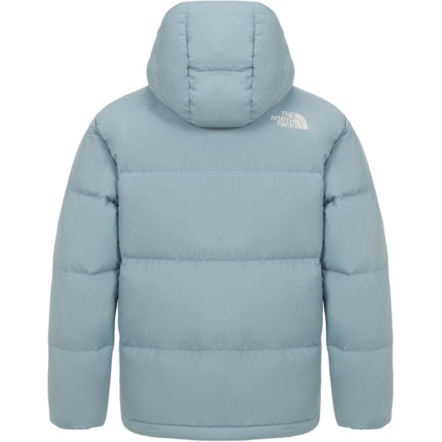 Зимняя куртка THE NORTH FACE Sierra - изображение 3