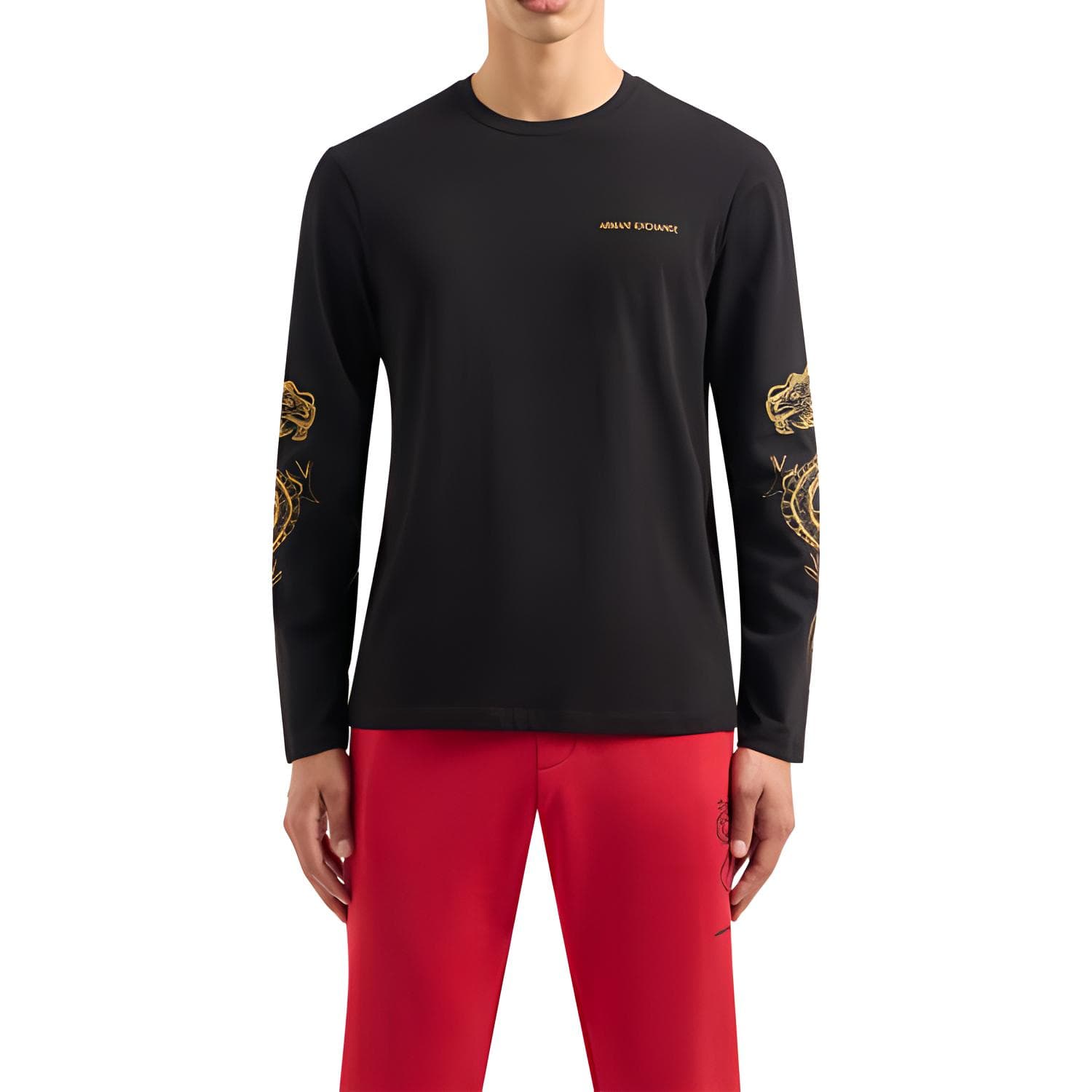 Худи ARMANI EXCHANGE SS24 Logo - изображение 2