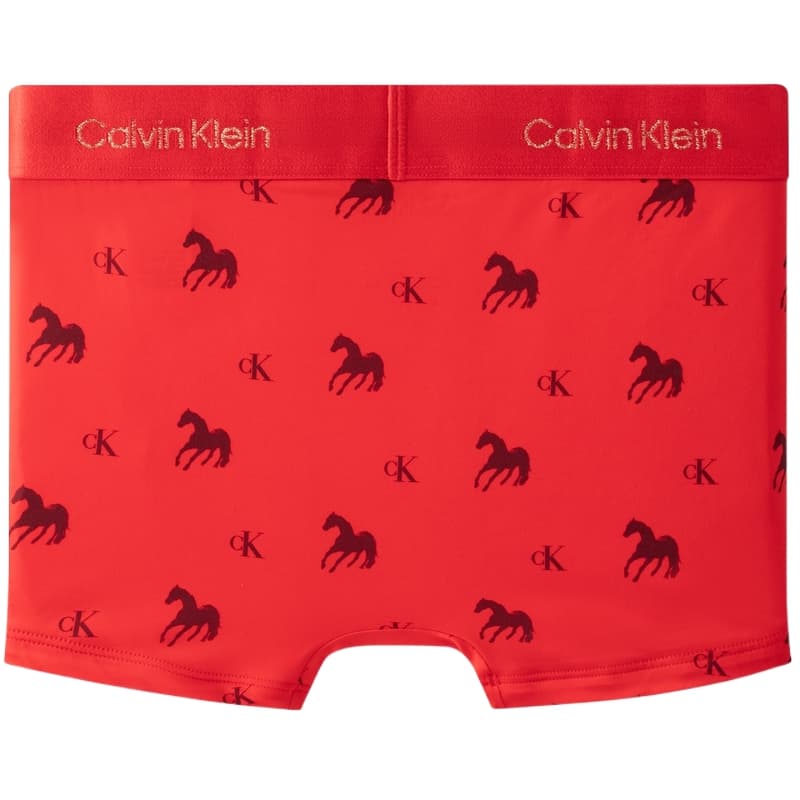 Трусы CALVIN KLEIN - изображение 2