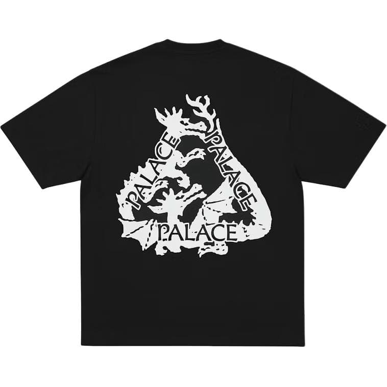 Футболка PALACE FW25 TRI SORCERY T-SHIRT T - изображение 1