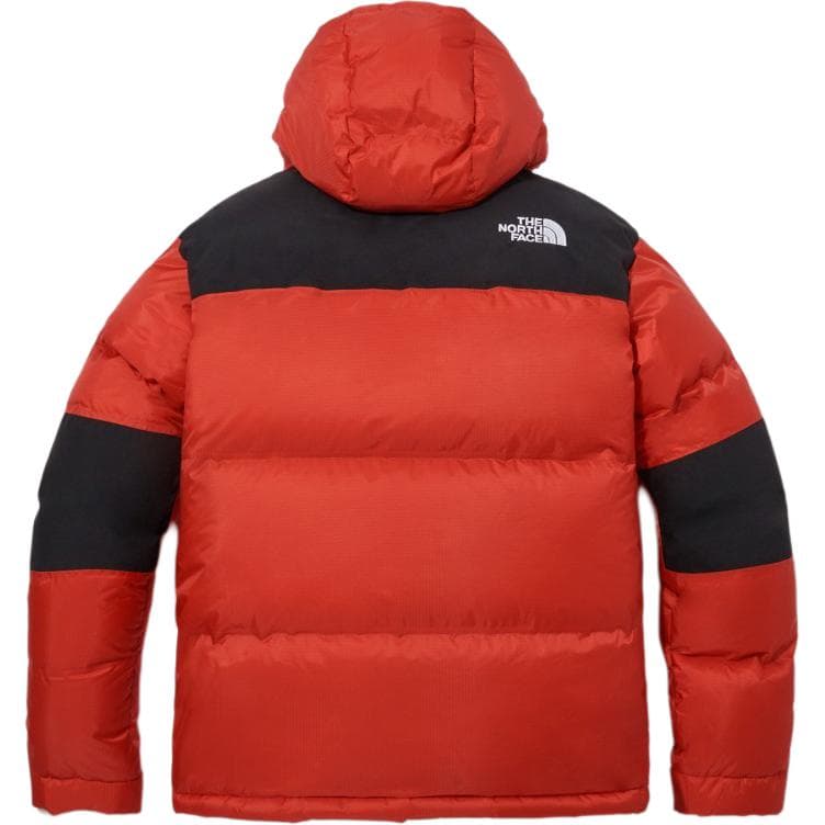 Зимняя куртка THE NORTH FACE Logo - изображение 2