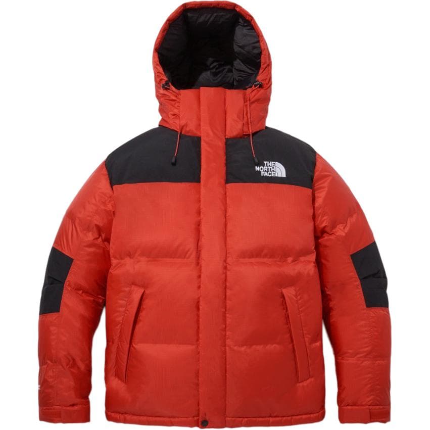 Зимняя куртка THE NORTH FACE Logo - изображение 1