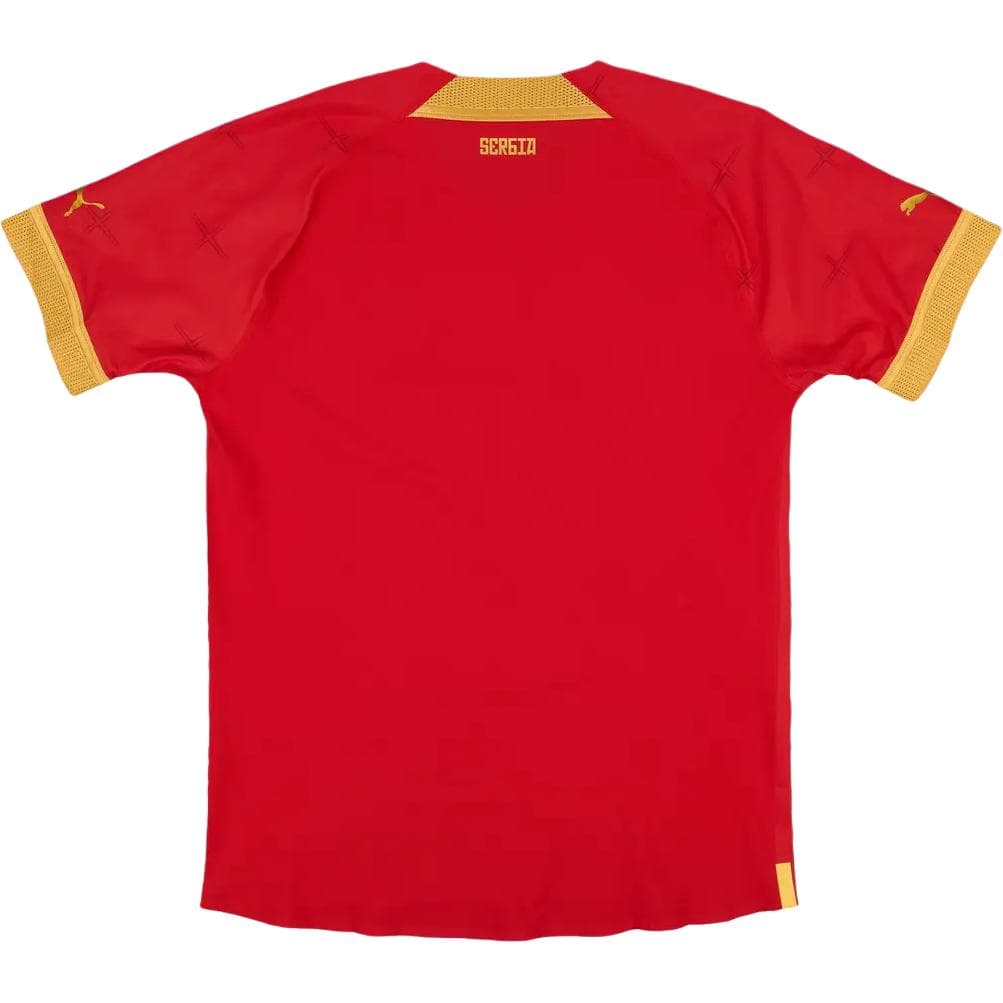 PUMA Serbia 2022 23 Игрок Issue Дом Футбол Джерси Мужской - изображение 2