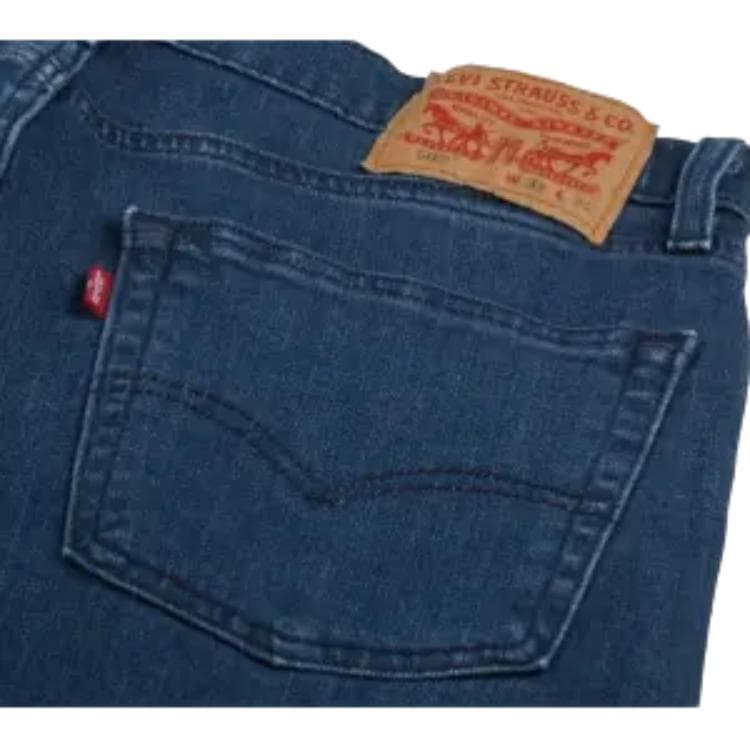 Штаны Levis FW22 - изображение 5