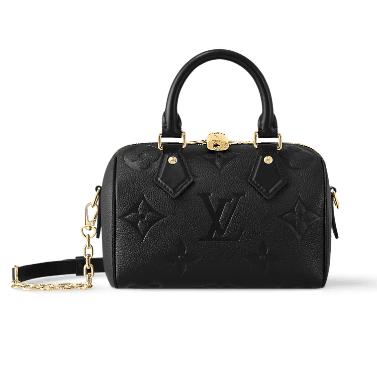 Сумка LOUIS VUITTON Speedy 20 - изображение 1
