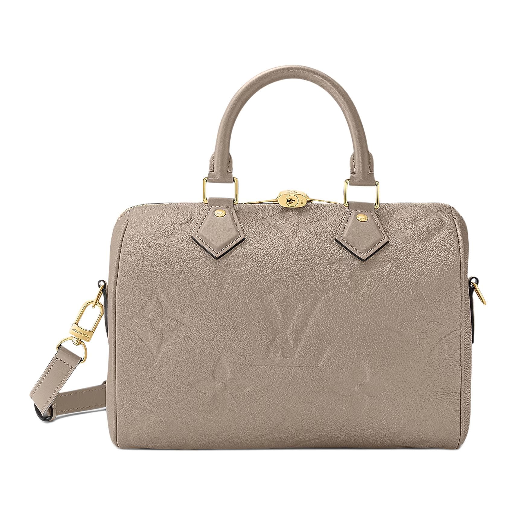 Сумка LOUIS VUITTON Speedy 25 - изображение 1