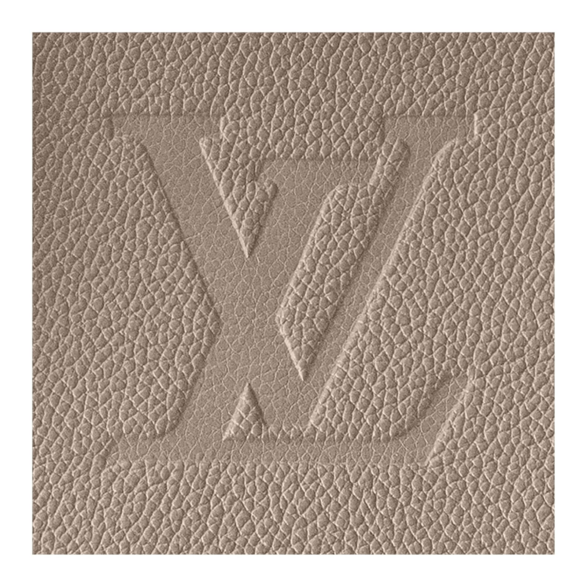 Сумка LOUIS VUITTON Speedy 25 - изображение 7