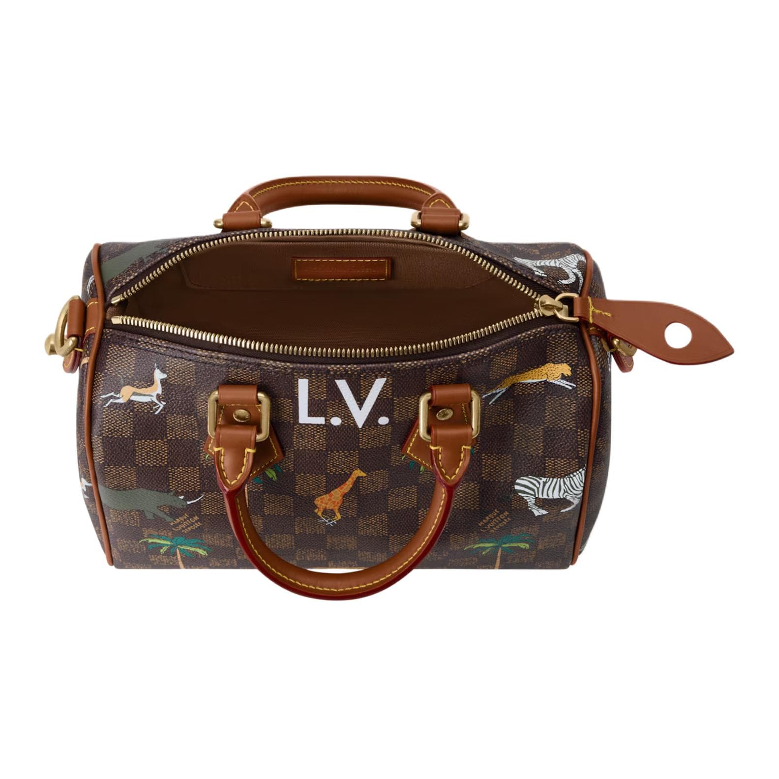 Сумка LOUIS VUITTON x The Darjeling Limited Speedy 25 BANDOULIRE Damier Heritage - изображение 4