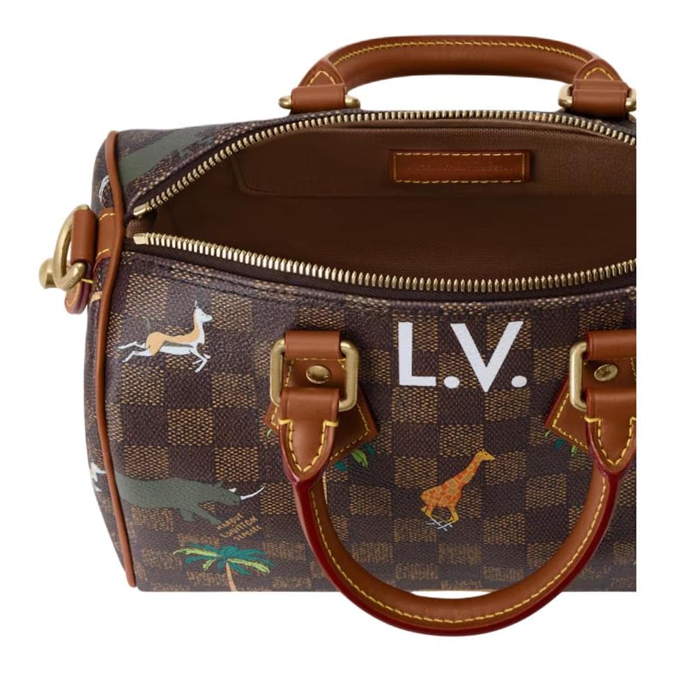 Сумка LOUIS VUITTON x The Darjeling Limited Speedy 25 BANDOULIRE Damier Heritage - изображение 5