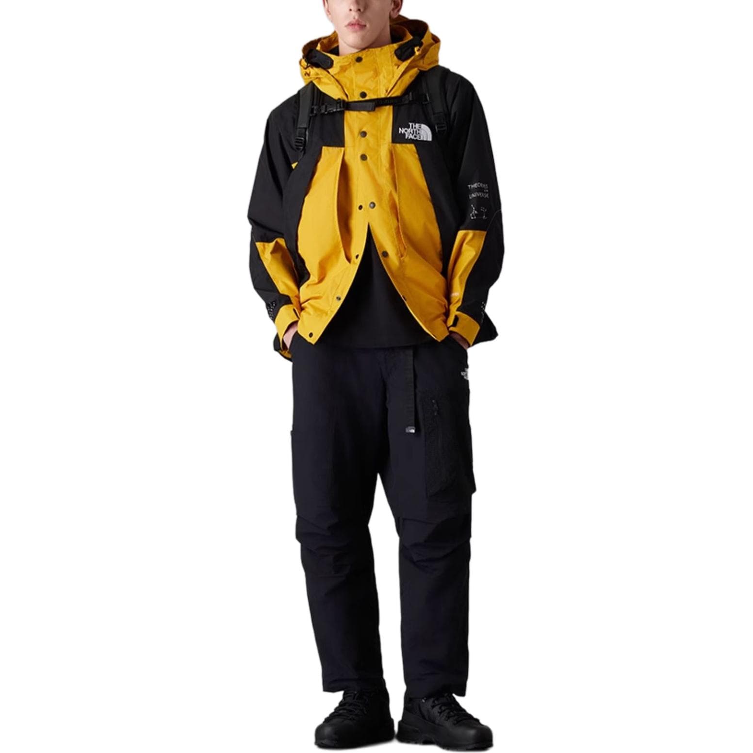 Демисезонная куртка The North Face - изображение 2