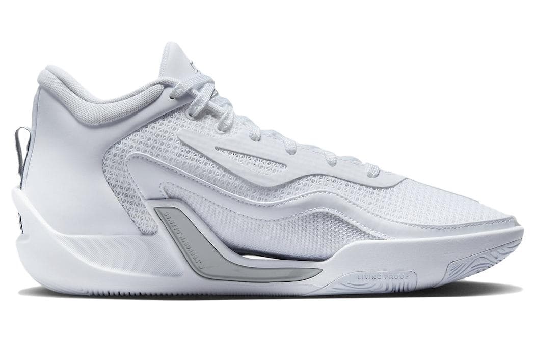 Кроссовки для баскетбола Jordan Tatum 1 "Pure Money" - изображение 2