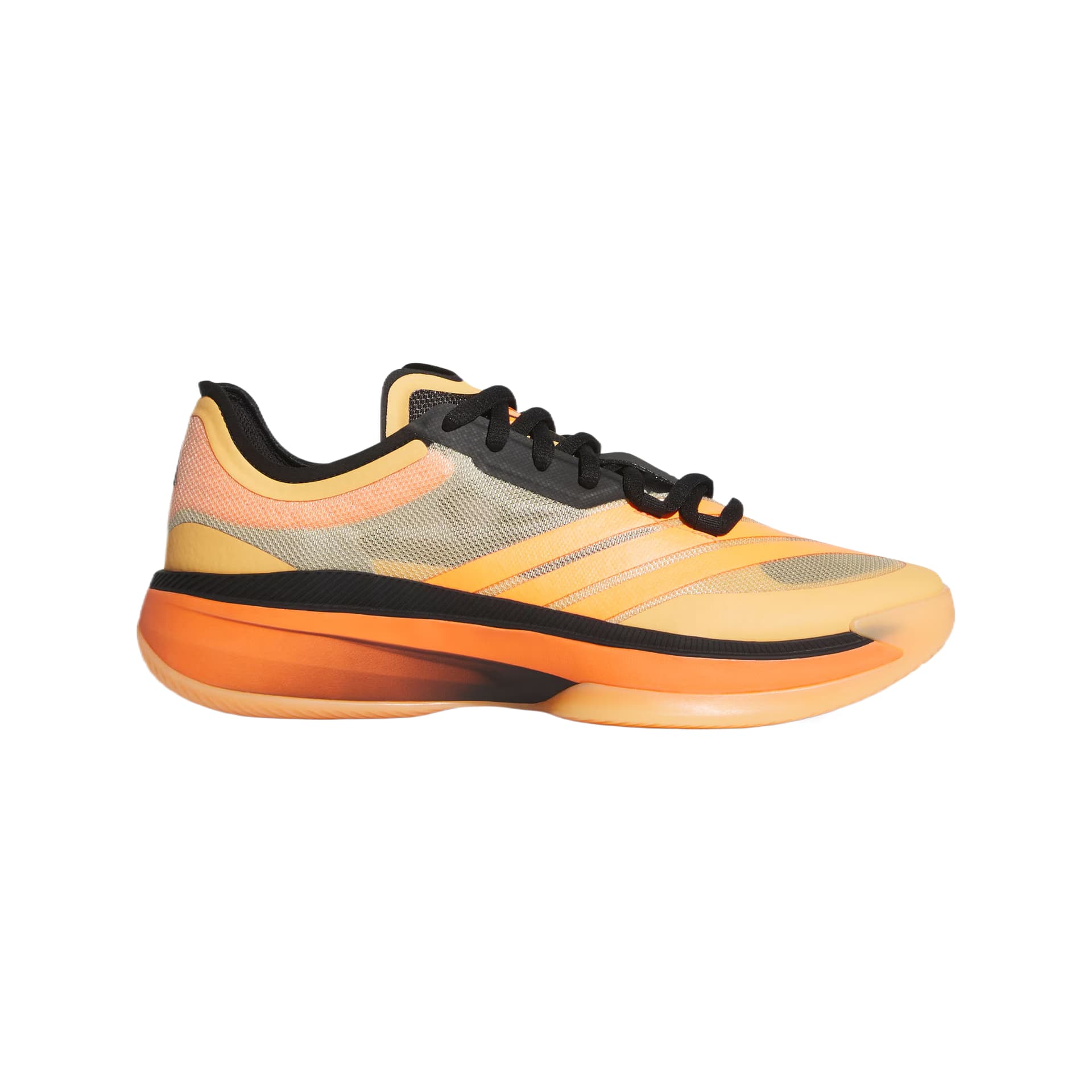Кроссовки для баскетбола Adidas Adizero Select 3,0 Баскетбольные кроссовки Унисекс - изображение 2