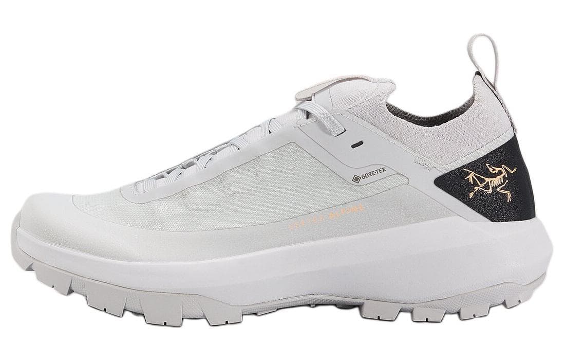 Кроссовки Arcteryx Vertex GTX - изображение 1