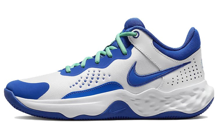 Кроссовки для баскетбола Nike Fly By Mid 3 - изображение 1