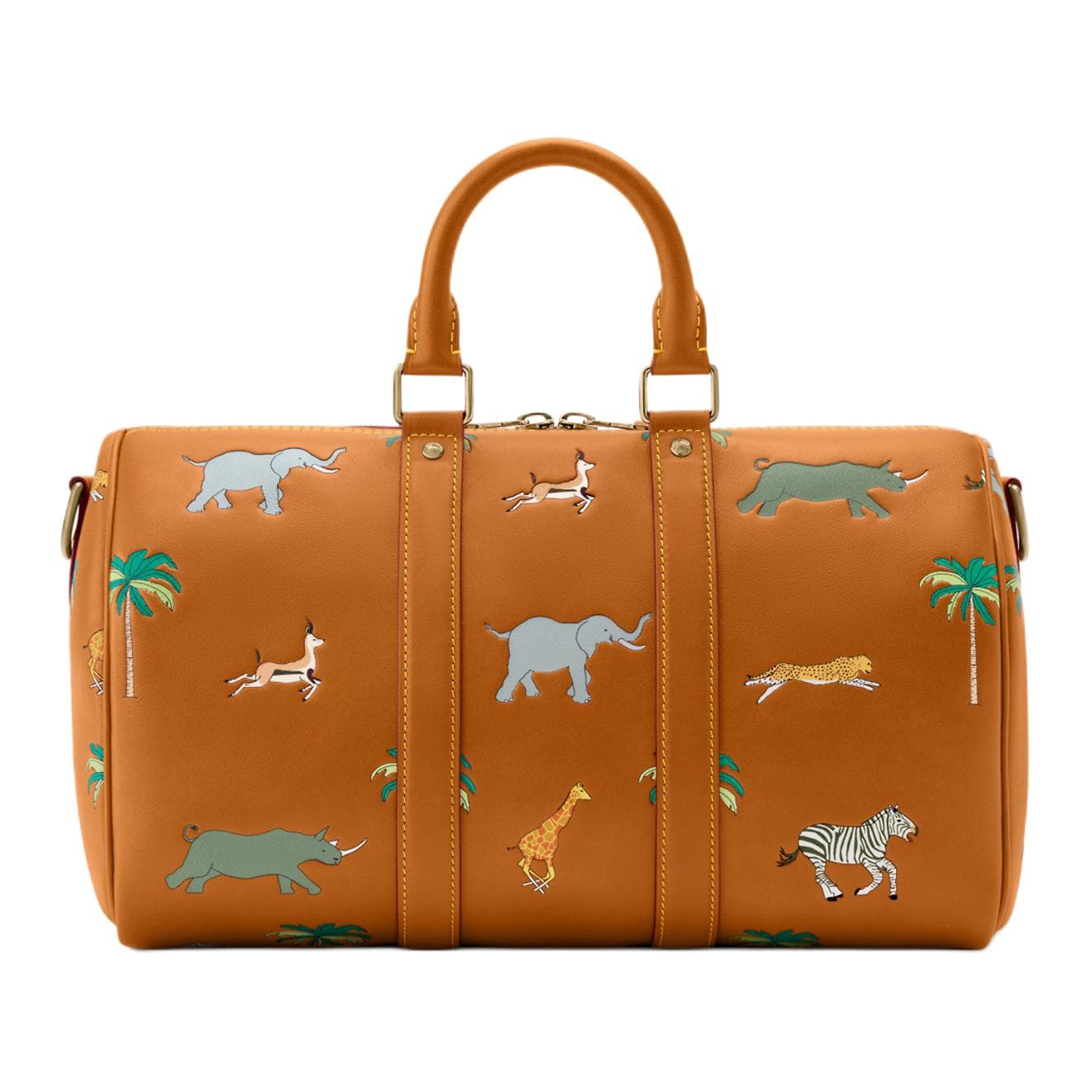 Сумка LOUIS VUITTON x THE DARJELING LIMITED keepall BANDOULIRE 35 - изображение 3
