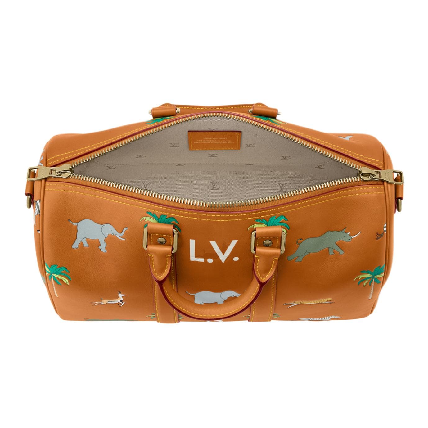 Сумка LOUIS VUITTON x THE DARJELING LIMITED keepall BANDOULIRE 35 - изображение 4
