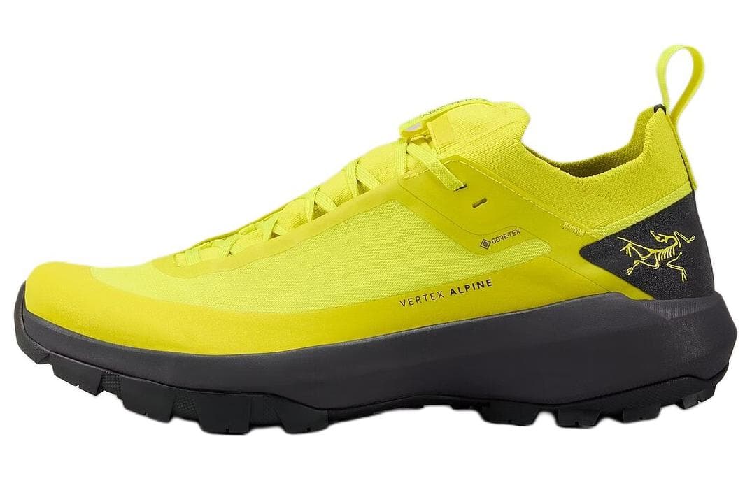Кроссовки Arcteryx Vertex GTX - изображение 1
