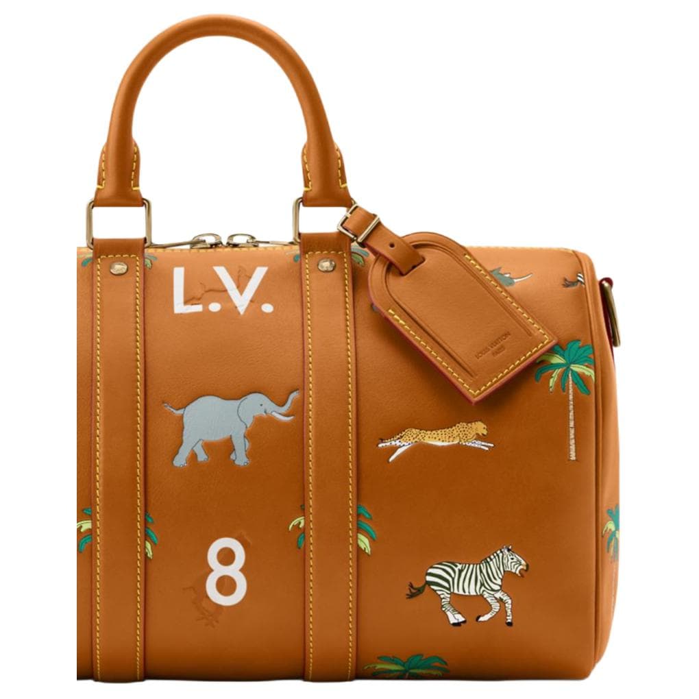 Сумка LOUIS VUITTON x THE DARJELING LIMITED keepall BANDOULIRE 35 - изображение 5