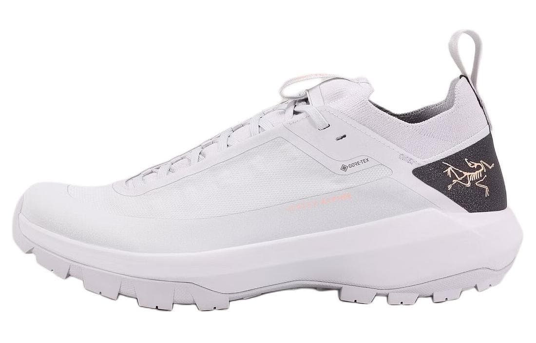 Кроссовки Arcteryx Vertex GTX - изображение 1