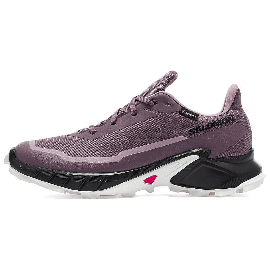Кроссовки для бега SALOMON ALPHACROSS 5 GORE-TEX - изображение 1