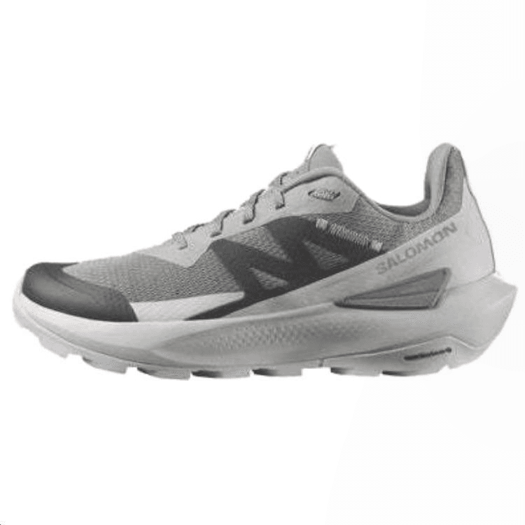 Кроссовки SALOMON Elixir ACTIV - изображение 1