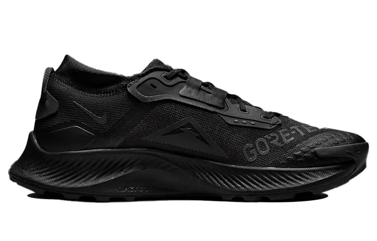 Кроссовки для бега Nike Pegasus Trail 3 Gore-Tex Black - изображение 2