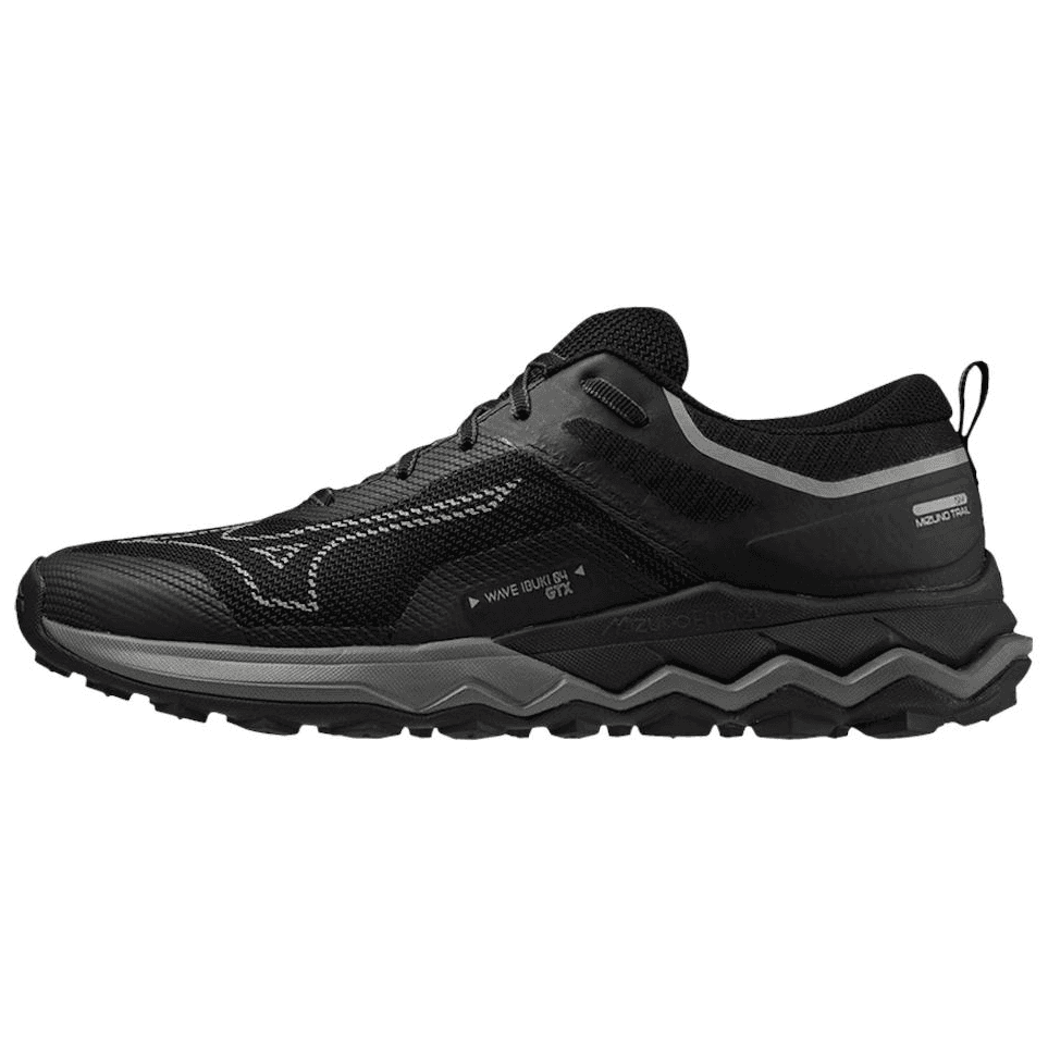 Кроссовки для бега Mizuno Wave Ibuki 4 GTX - изображение 1
