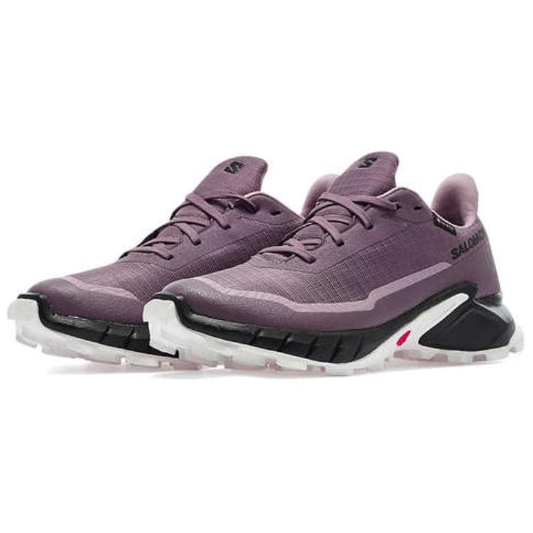Кроссовки для бега SALOMON ALPHACROSS 5 GORE-TEX - изображение 2