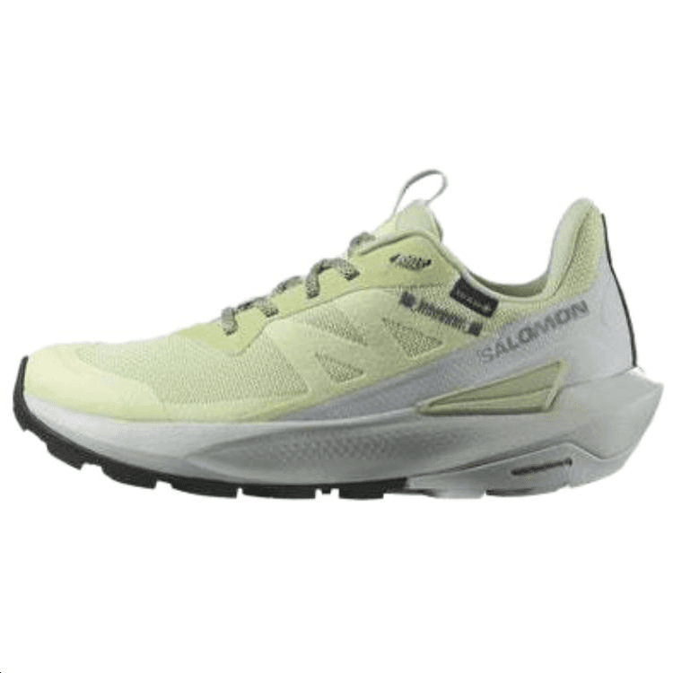 Кроссовки SALOMON Elixir ACTIV GORE-TEX - изображение 1