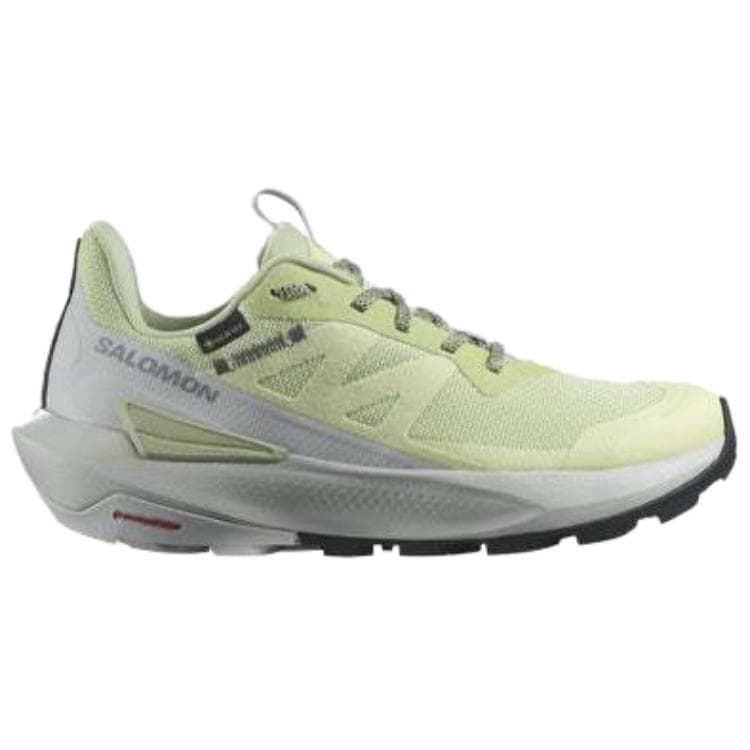 Кроссовки SALOMON Elixir ACTIV GORE-TEX - изображение 2