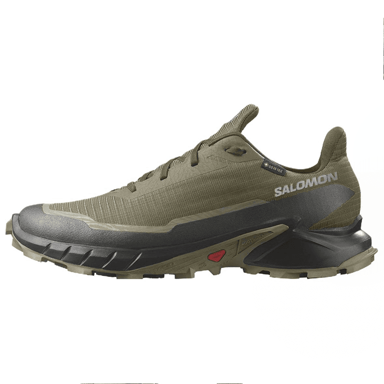 Кроссовки для бега SALOMON Alphacross 5 - изображение 1
