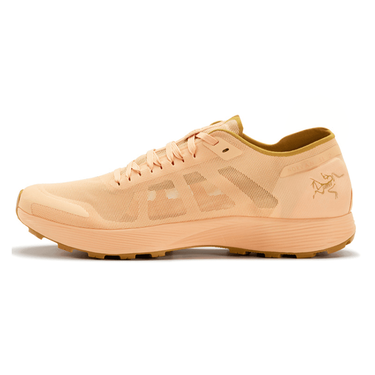Кроссовки для бега Arcteryx Norvan SL GTX - изображение 1