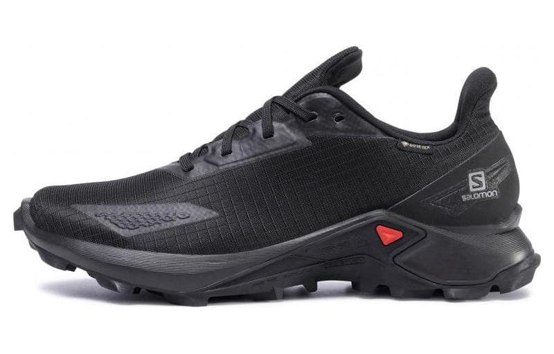 Кроссовки для бега SALOMON Alphacross Blast GTX - изображение 1