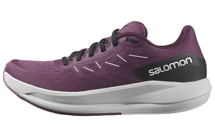 Кроссовки для бега Salomon Spectur - изображение 1