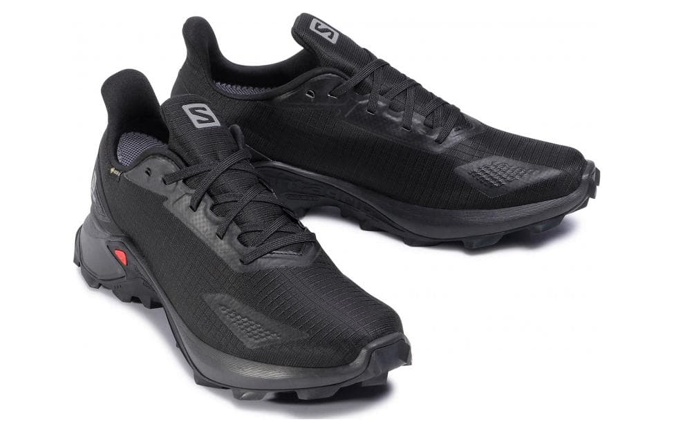 Кроссовки для бега SALOMON Alphacross Blast GTX - изображение 3