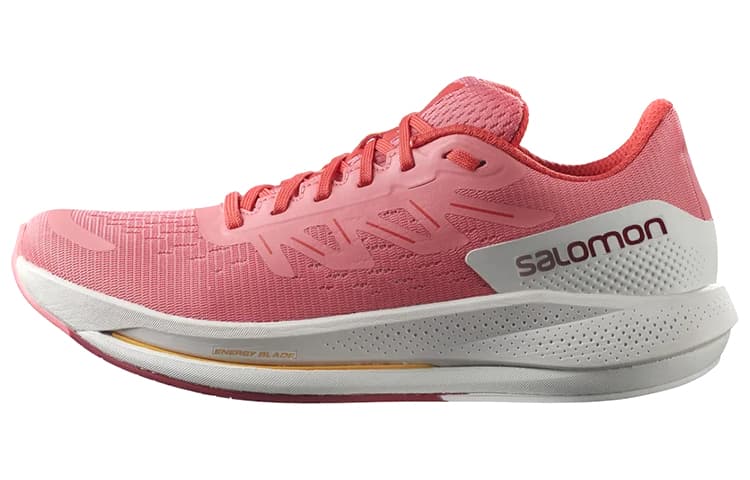 Кроссовки для бега SALOMON Spectur - изображение 1