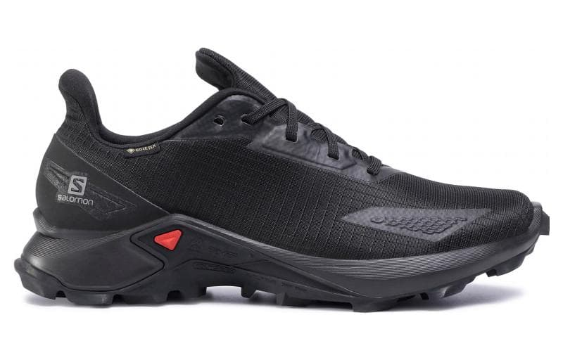 Кроссовки для бега SALOMON Alphacross Blast GTX - изображение 2