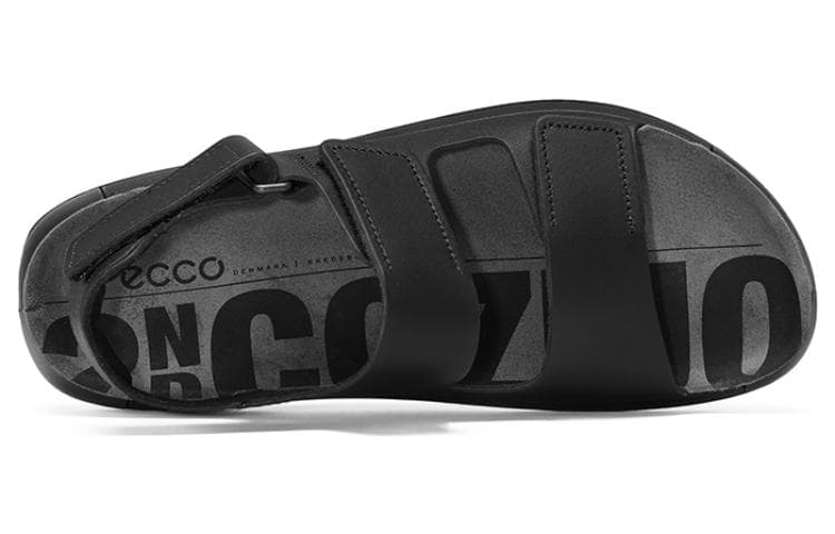 ecco - изображение 4