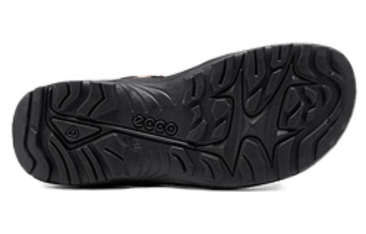 ecco - изображение 4
