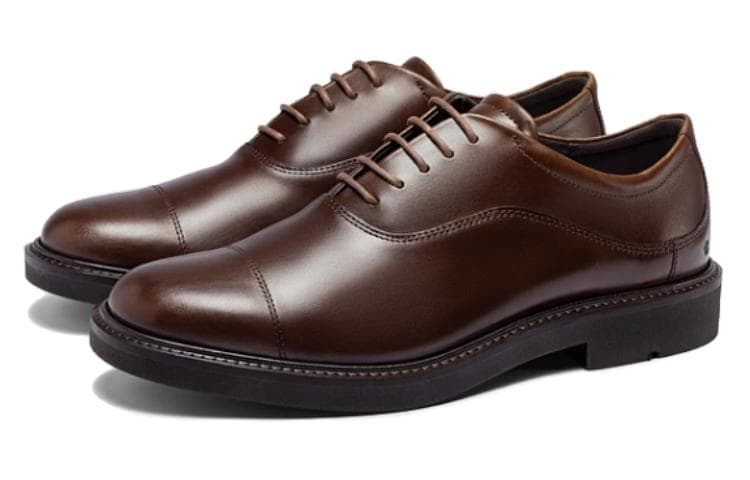 ecco - изображение 3