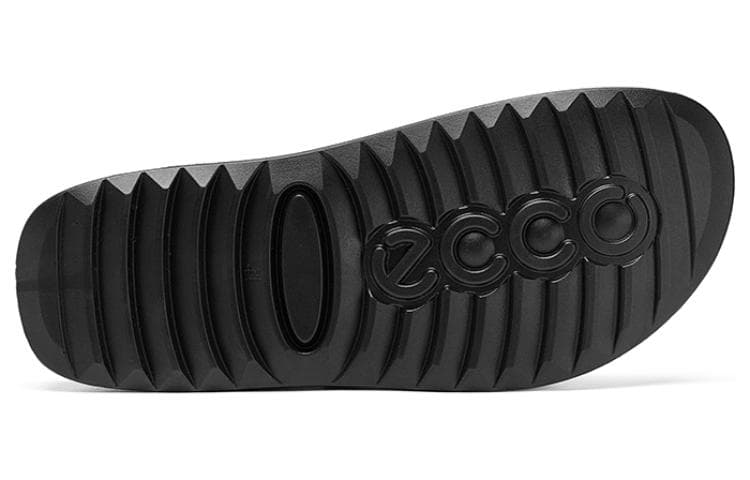 ecco - изображение 5