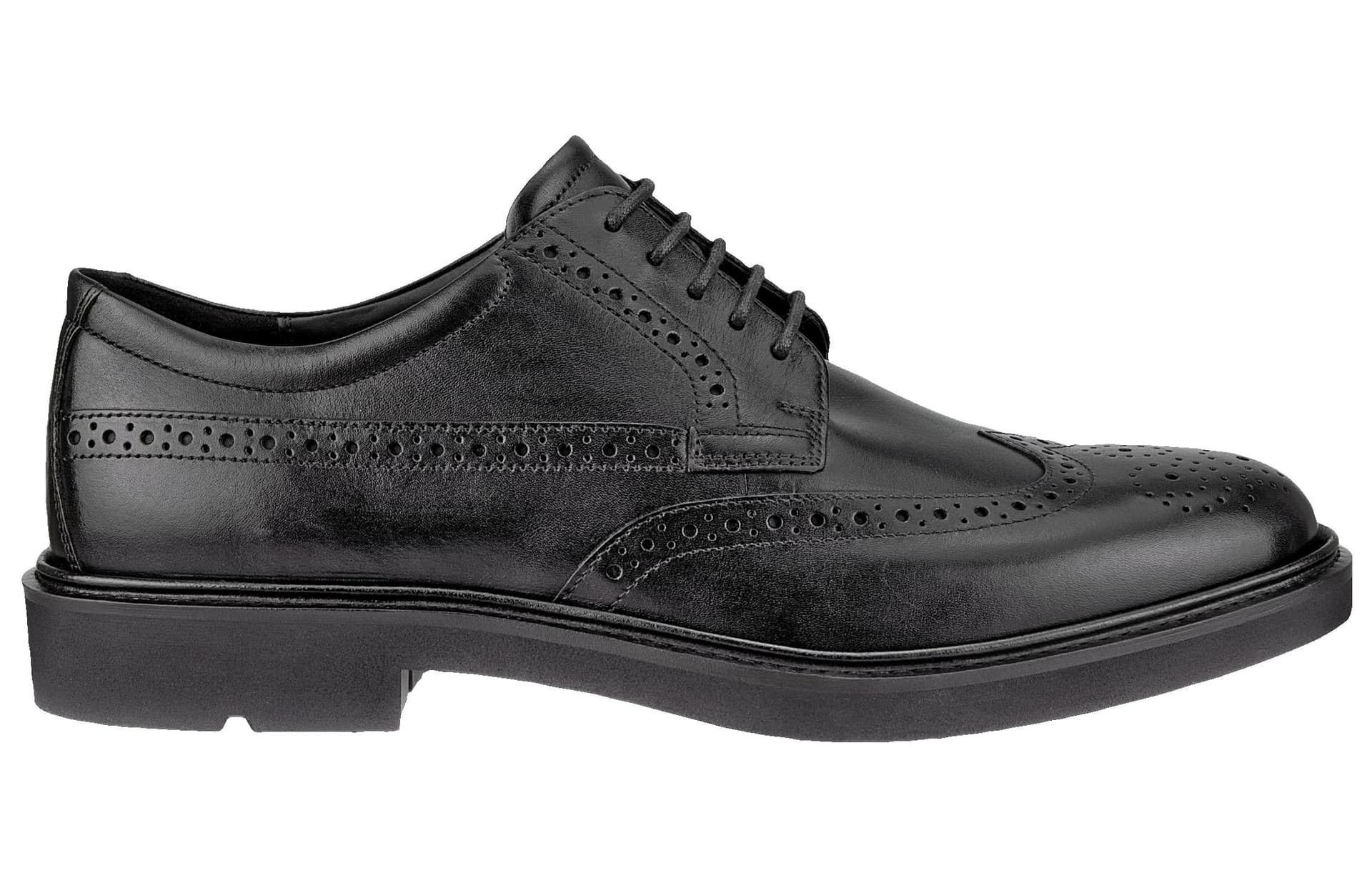 ecco - изображение 2
