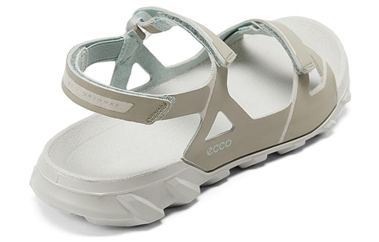 ecco - изображение 3